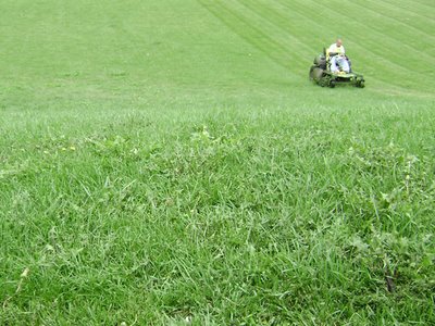 Cutting grass