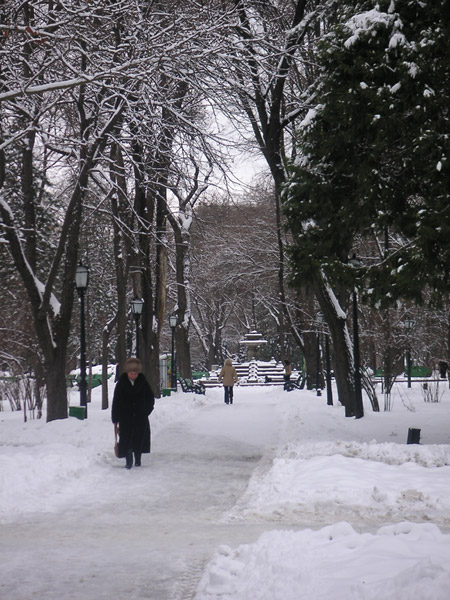 PICT0006