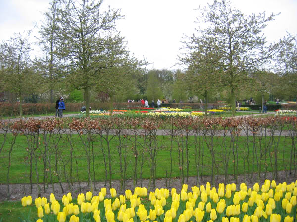 IMG_0029