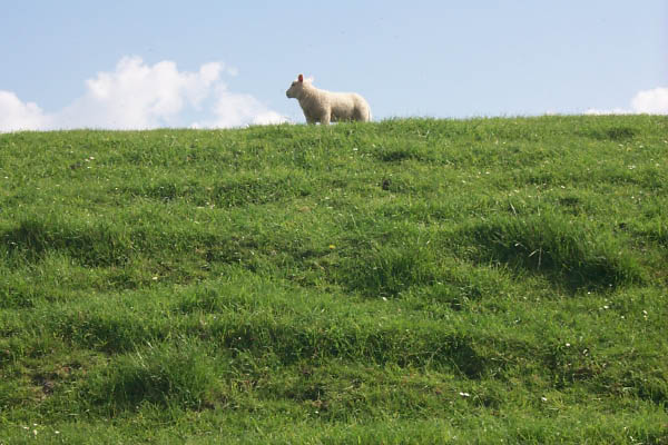 P0000819